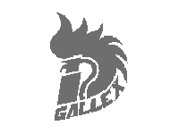 logo-gallex-web